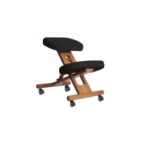 SIÈGE ERGONOMIQUE STABIDO NOIR