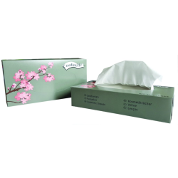Mouchoir papier, Boîte mouchoirs, Mouchoirs Global Hygiène