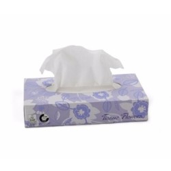 Mouchoirs en boîte, Mouchoirs en papier blancs Celtex