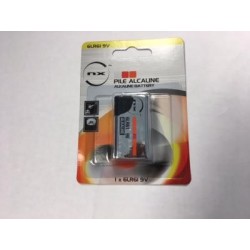Pile 6LR61-9V-AAAA, Piles Alcaline Asept Inmed