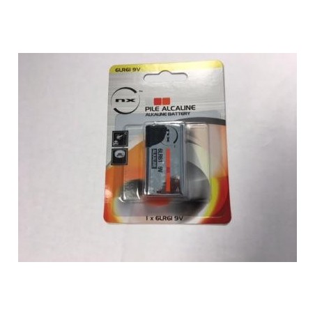 PILES ALCALINES 6LR61 -9V-AAAA