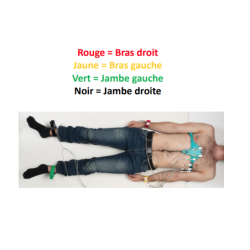 Ceinture ECG à Anses avec connecteur dédié avec vis 11061H