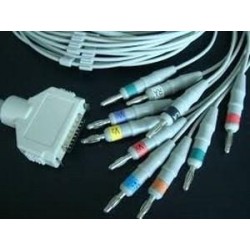 Câble Patient 10 fils pour Ecg Fukuda Denshi  FX7202