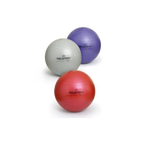 BALLON GYMNASTIQUE SECUREMAX LILAS