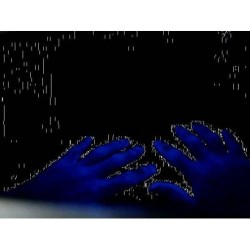 Gel Aniosgel 85 NPC Fluorescent, Boîte à coucou