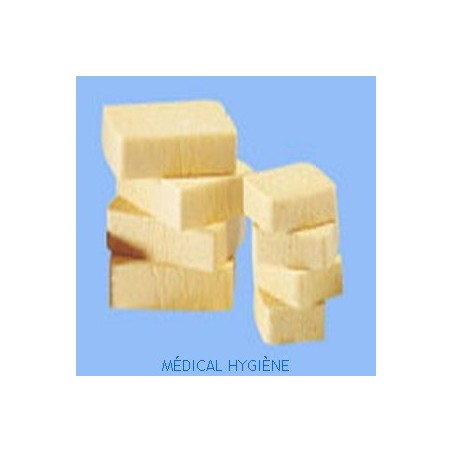 EPONGES VEGETALES N°6